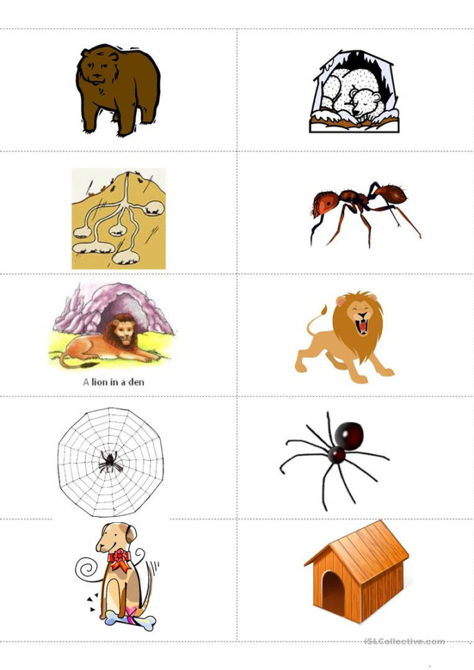 Animals And Their Habitat Memory Flashcards  English Esl
