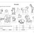 Animals Label And Classify  English Esl Worksheets