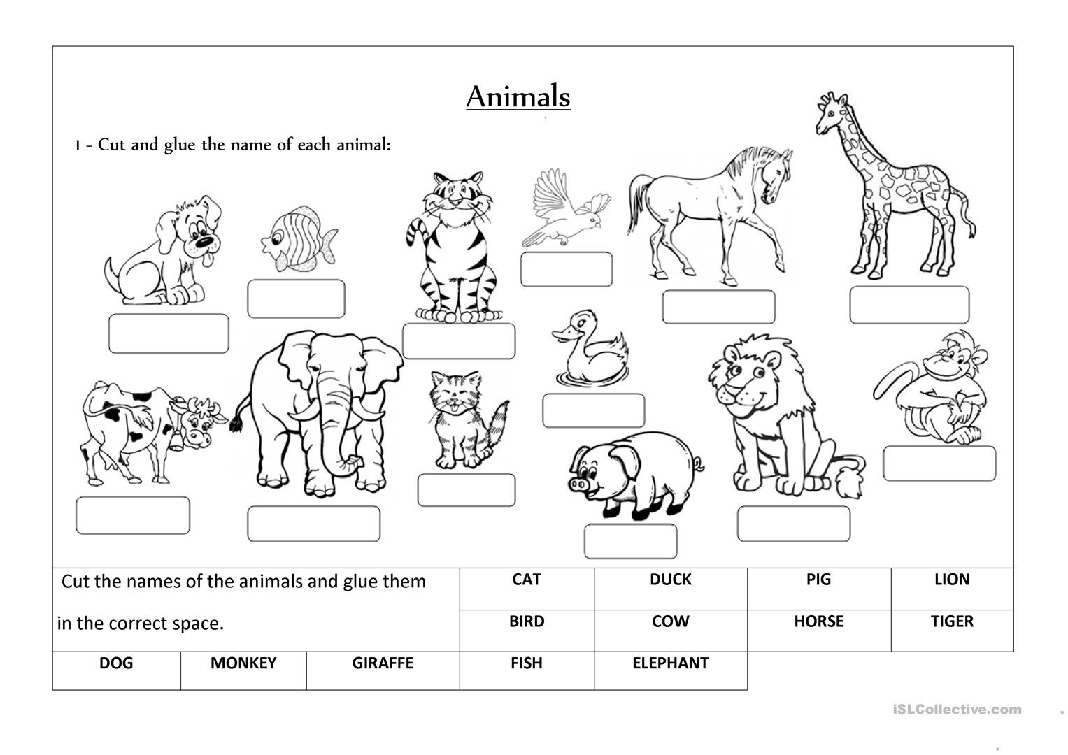 Animals Label And Classify  English Esl Worksheets