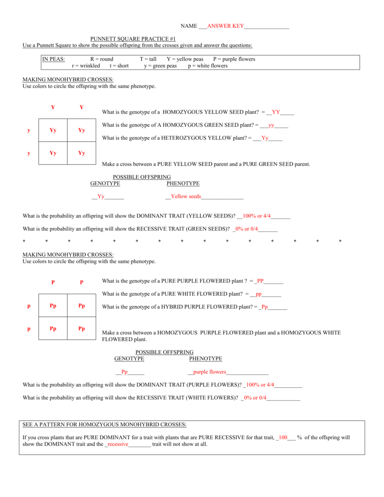 Genetics Practice Problems 3 Monohybrid Problems Worksheet 1 Answers