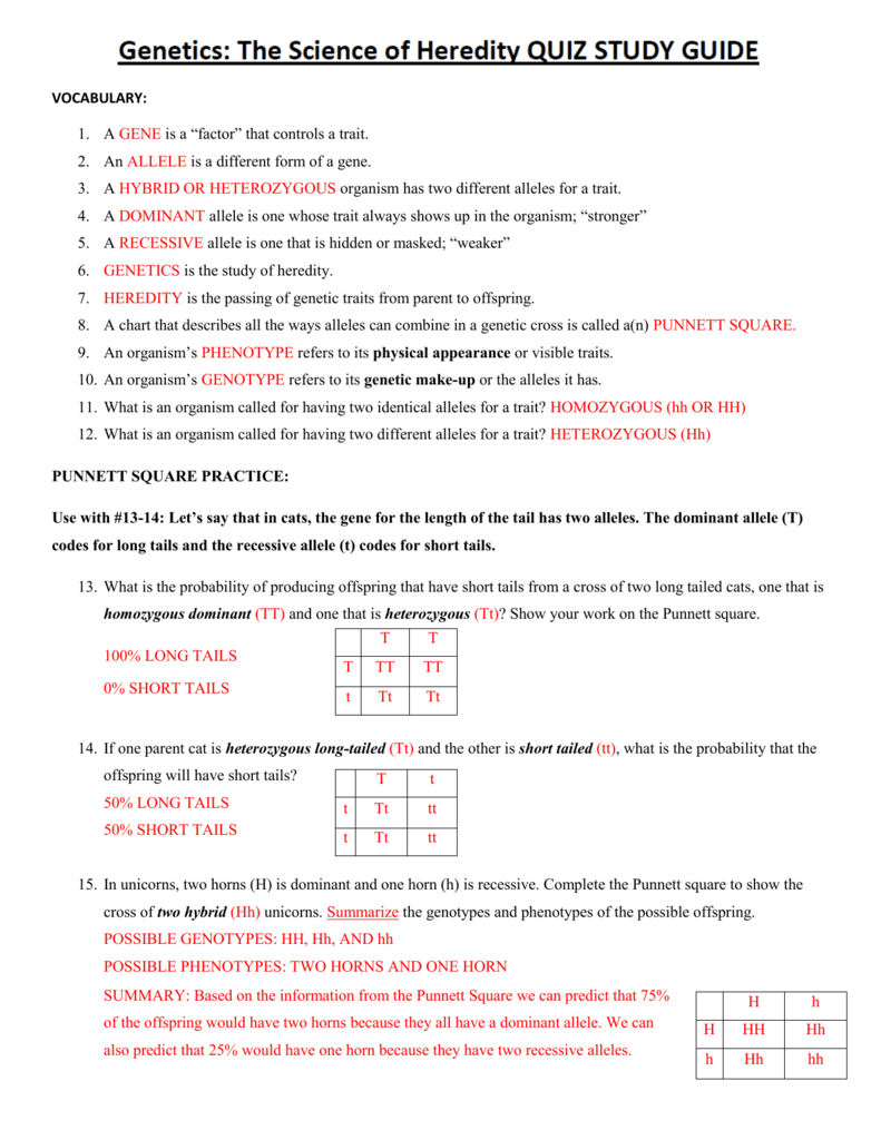 genetics-the-science-of-heredity-the-test-cross-worksheet-answers-db-excel