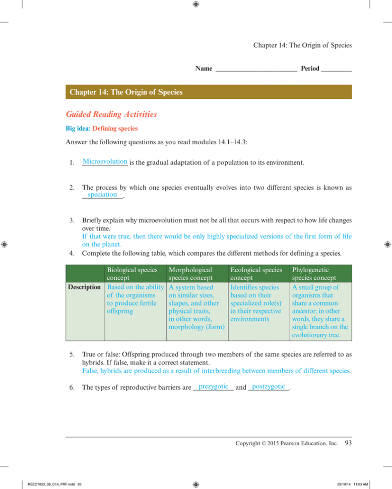 Answer Key Chapter 14