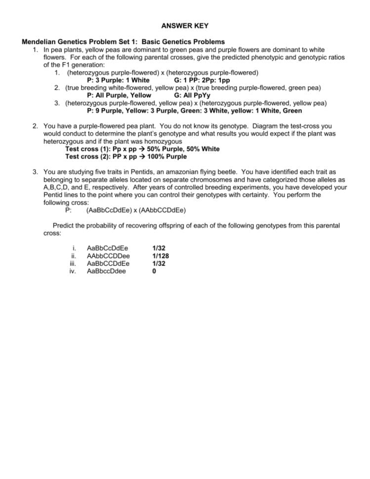 Answer Key Mendelian Genetics Problem Set 1 Basic Genetics