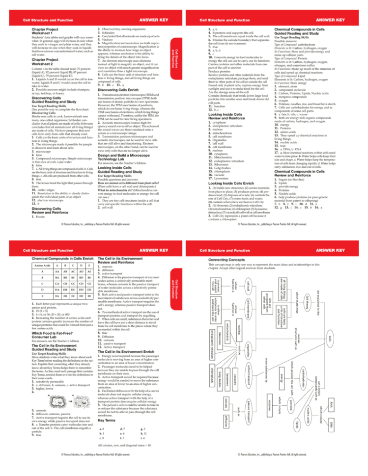 Answer Key  The Lab Of Mister Q
