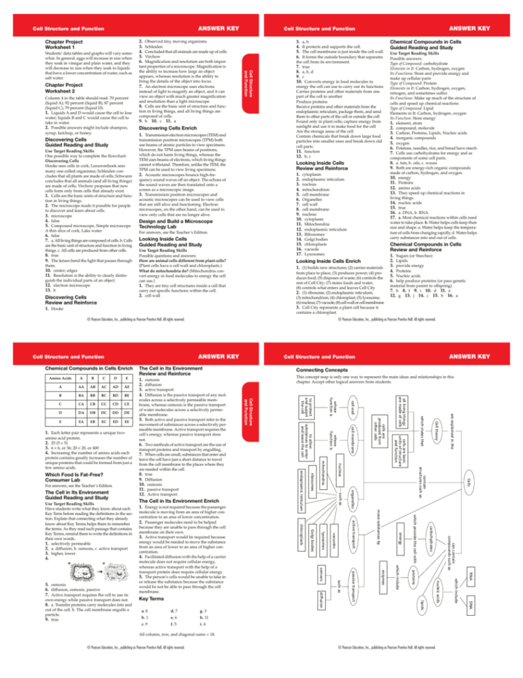 Answer Key  The Lab Of Mister Q