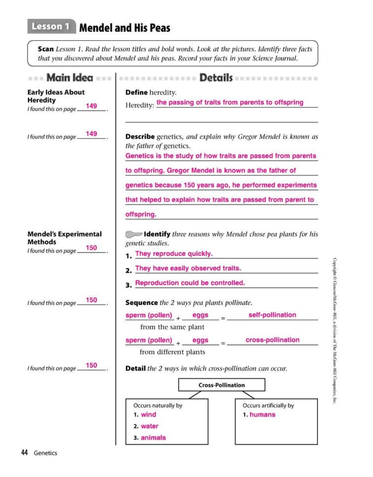 Answers For Mendel Worksheets 44  Simplebooklet