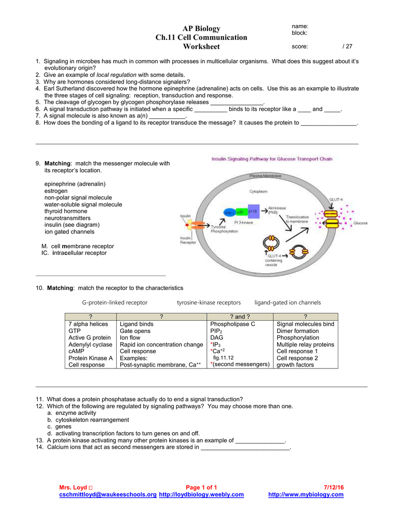 Ap Biology Ch11 Cell Communication Worksheet