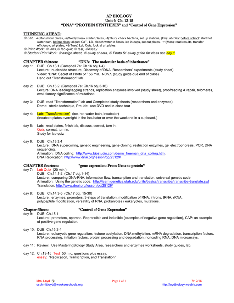 Ap Biology Unit 6 Ch 1315 Thinking Ahead