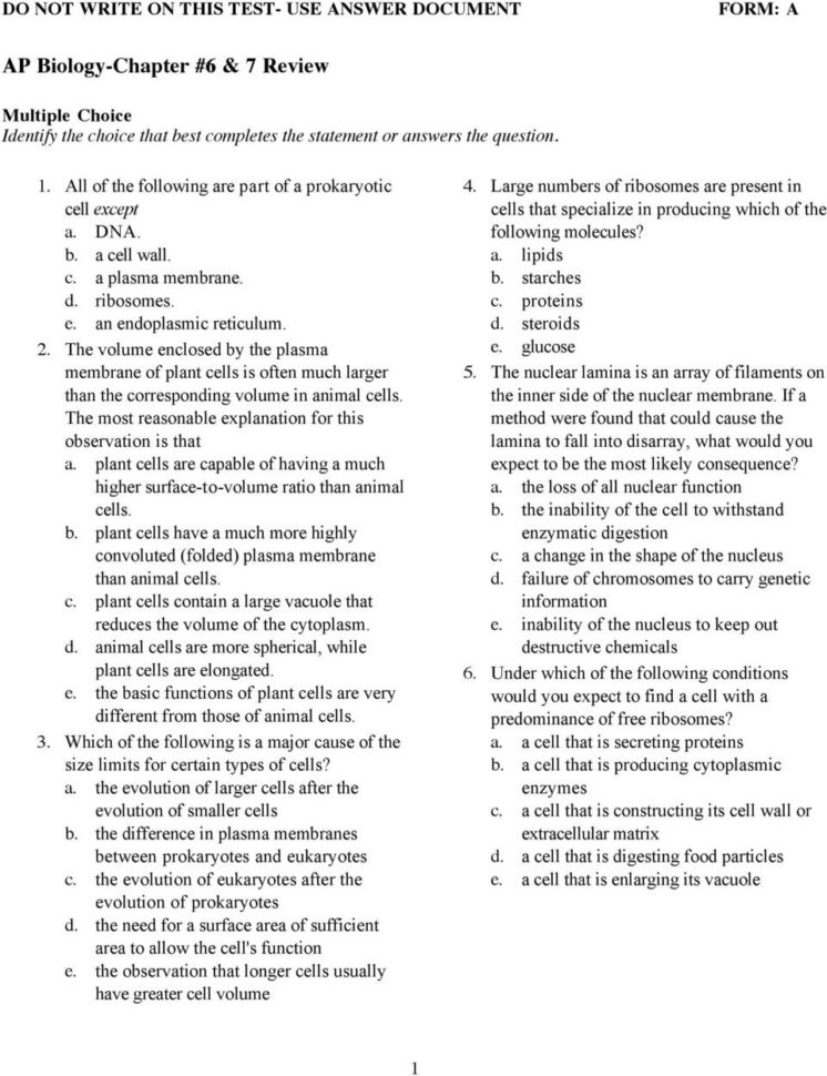 Ap Biologychapter 6  7 Review  Pdf