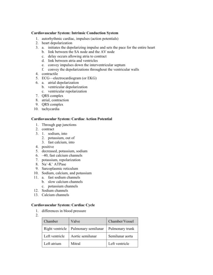 Heart Valves And The Cardiac Cycle Worksheet Answers — db-excel.com