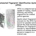April 30  May 1 Forensic Science Unit 3 Fingerprints  Ppt