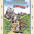 Are You Liberal Conservative Or Confused 2Nd Edition