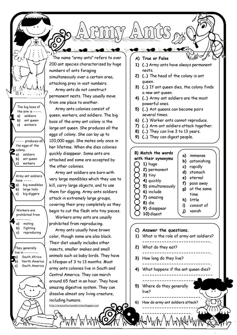 Army Ants Reading Comprehension  English Esl Worksheets