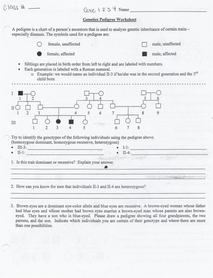 genetics-pedigree-worksheet-answer-key-db-excel