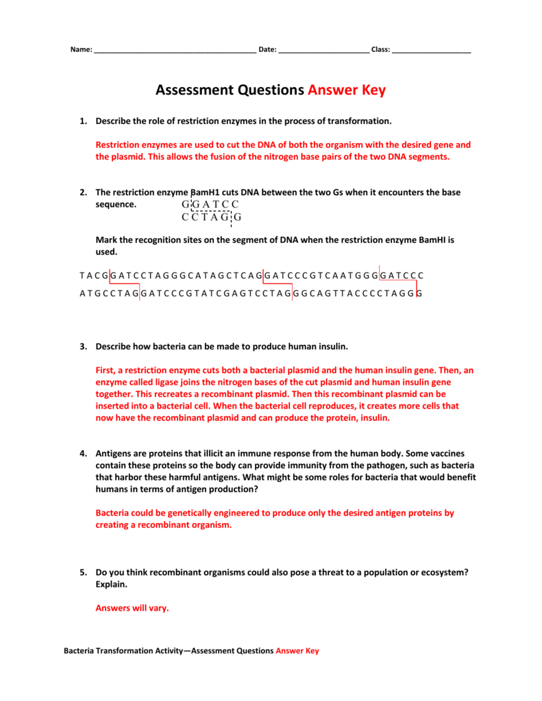 Restriction Enzyme Worksheet Answers Db excel