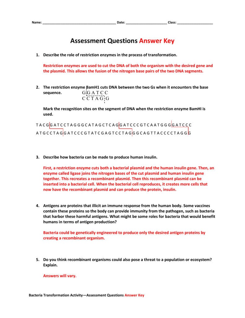 Assessment Questions Answer Key