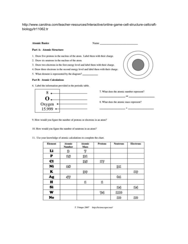 bookkeeping-basics-worksheet-answers