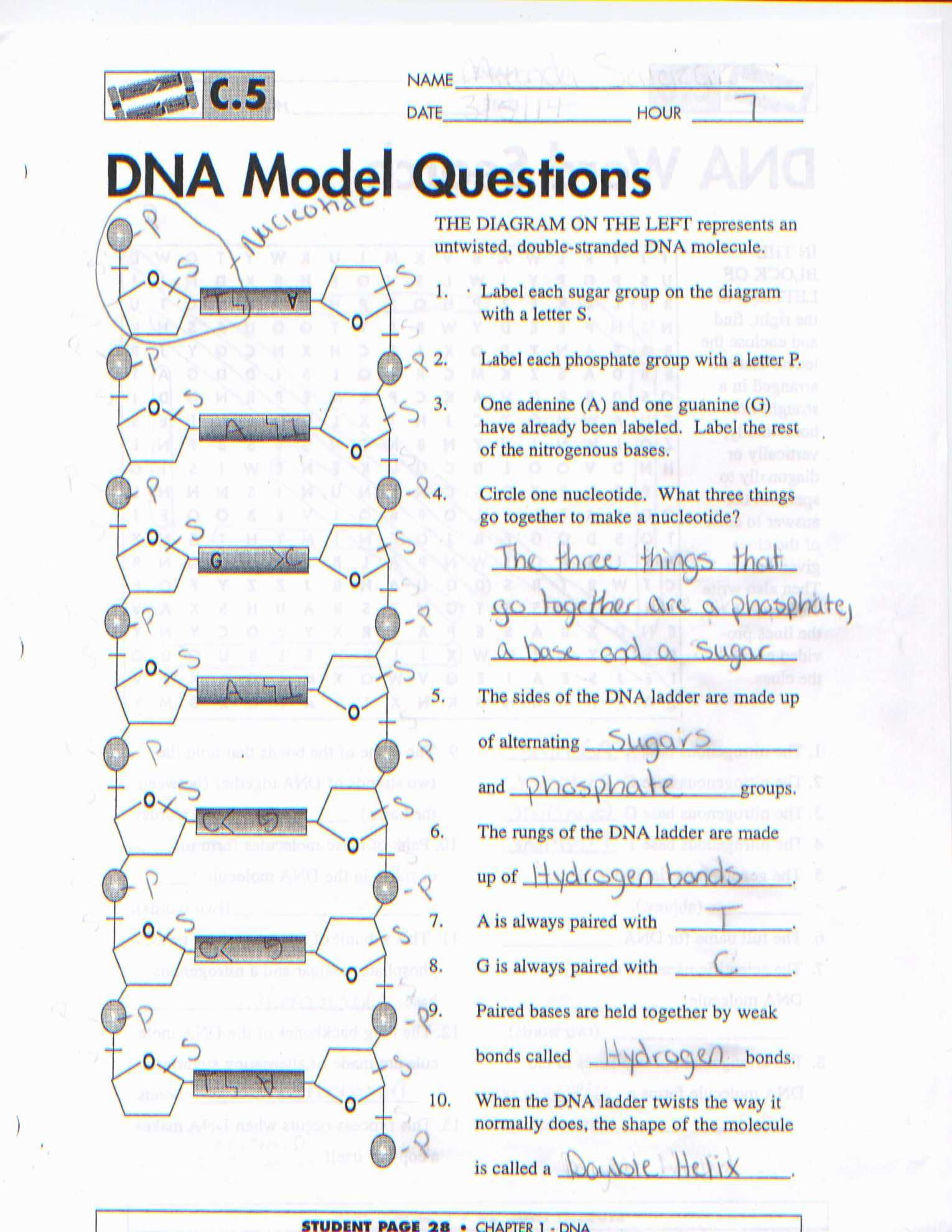 atomic-structure-review-worksheet-answer-key-db-excel