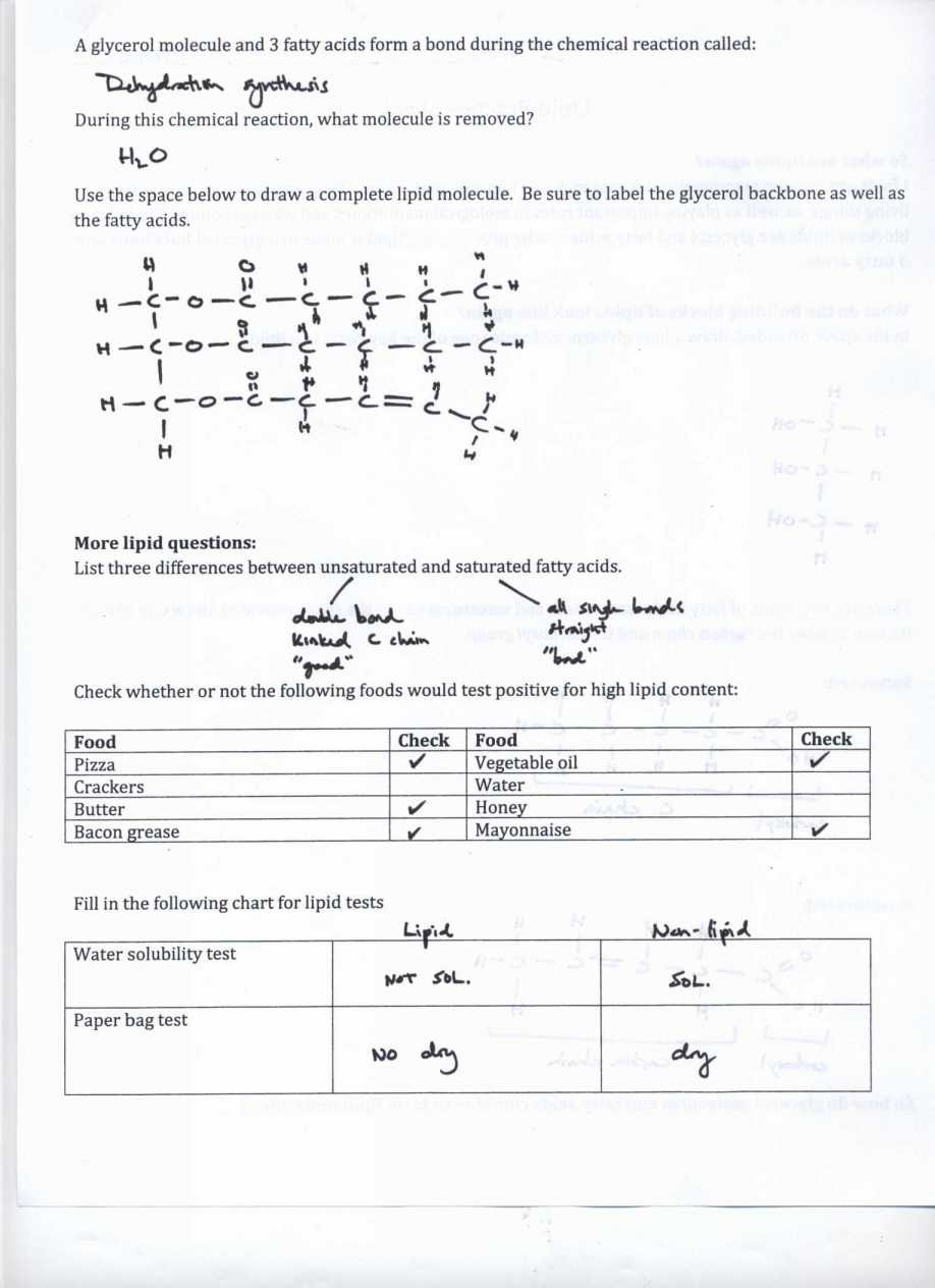atoms-and-ions-worksheet-answers-db-excel