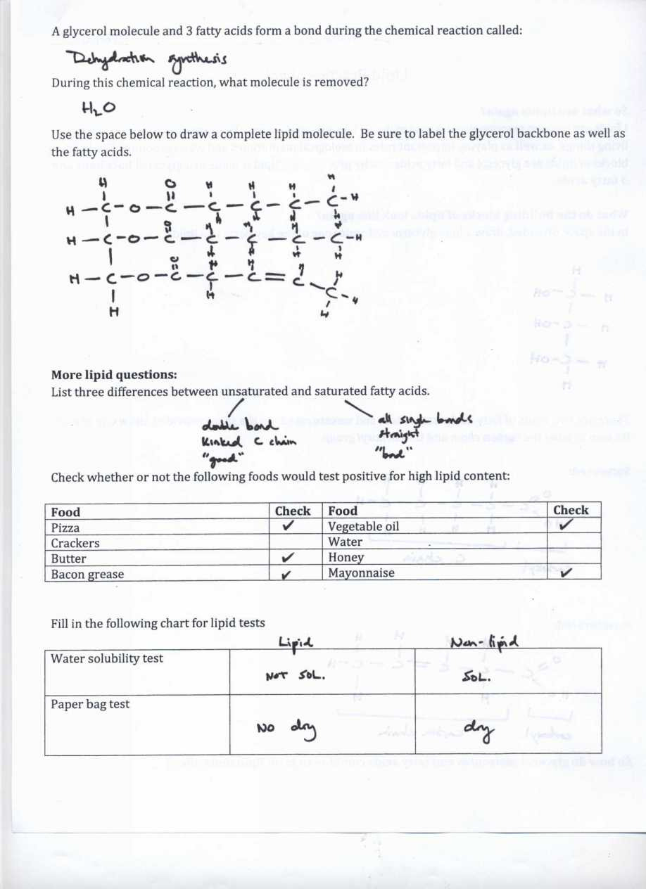 Isotopes Ions And Atoms Worksheet 1 Answers Db excel
