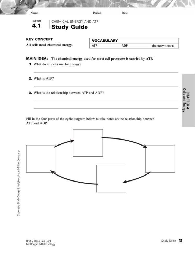 Atp Coloring Worksheet