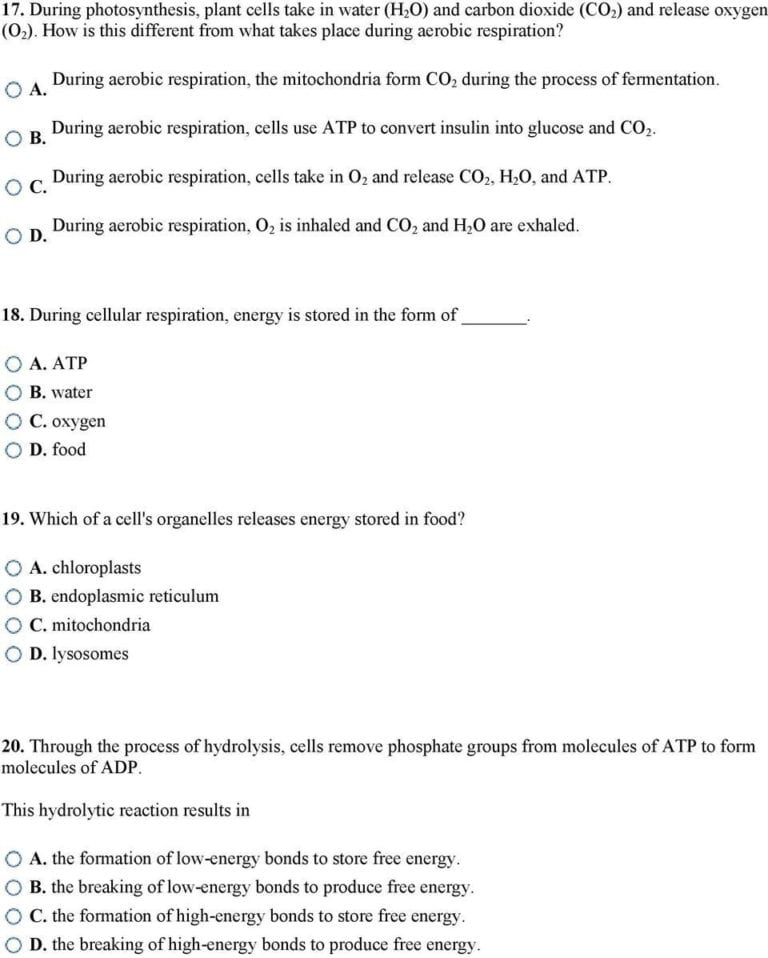 Atp Worksheet Answers db excel com Atp Worksheet Answers db excel com