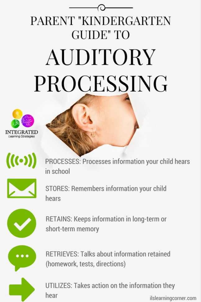 Auditory System “Kindergarten Guide” To Auditory Ing