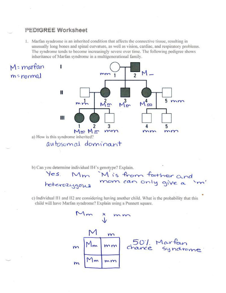 Autosomal Pedigree Worksheet  Redwoodsmedia