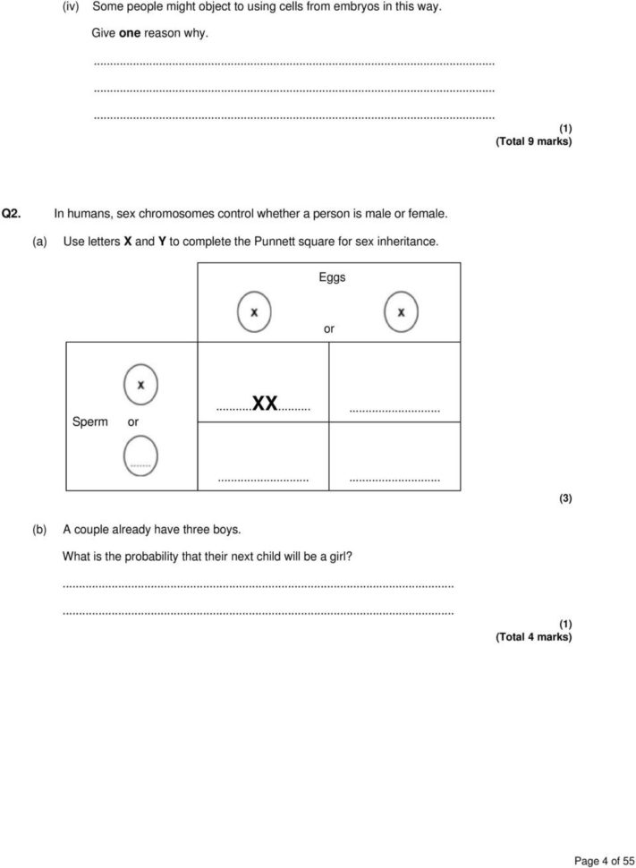 B2 5 Inheritrance Genetic Crosses  Pdf