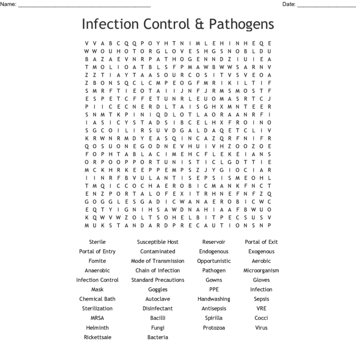 Characteristics Of Bacteria Worksheet