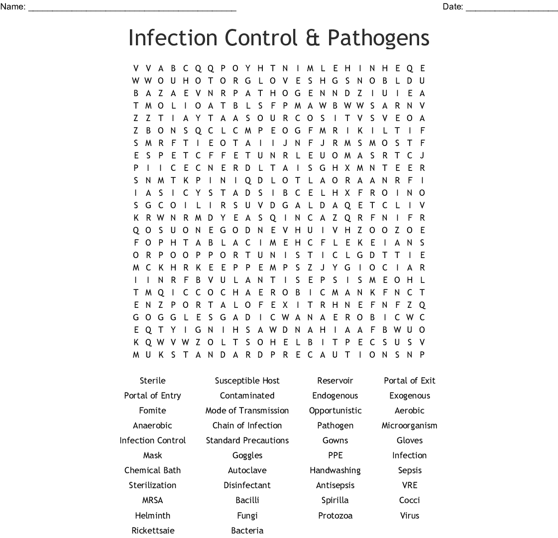Characteristics Of Bacteria Worksheet — db-excel.com