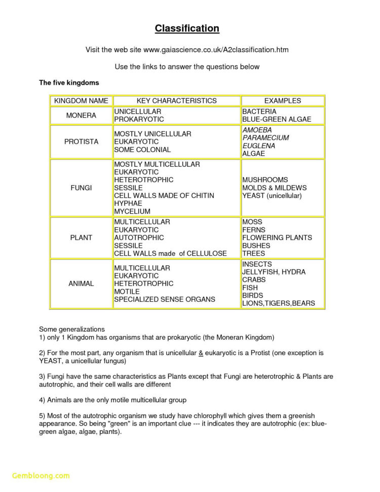 Balanced And Unbalanced Forces Worksheet Answers