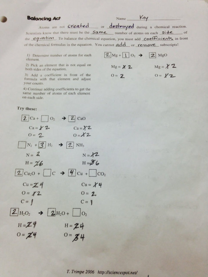 Balancing Act Worksheet Answer Key  Netvs
