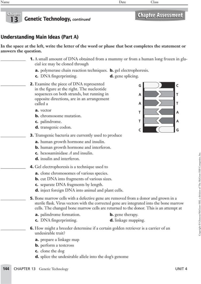 Basic Concepts Recombinant Dna Use With Chapter 13 Section Pdf