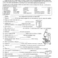 Beautiful Scientific Method Worksheet Grade 9 – Enterjapan