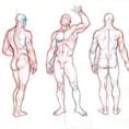 Beginner´s Guide Importance Of Proper Body Proportions And