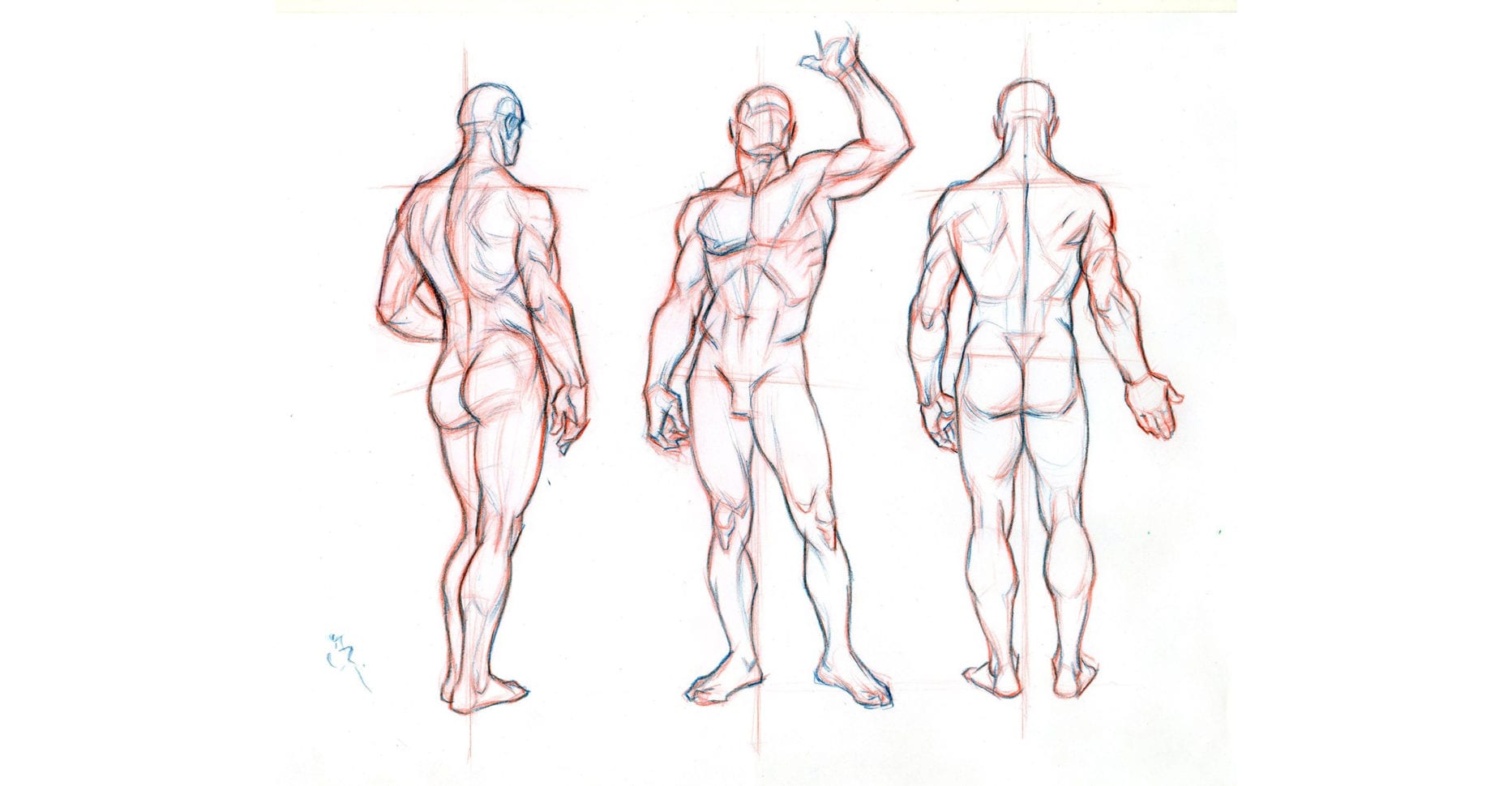 Beginner´s Guide Importance Of Proper Body Proportions And