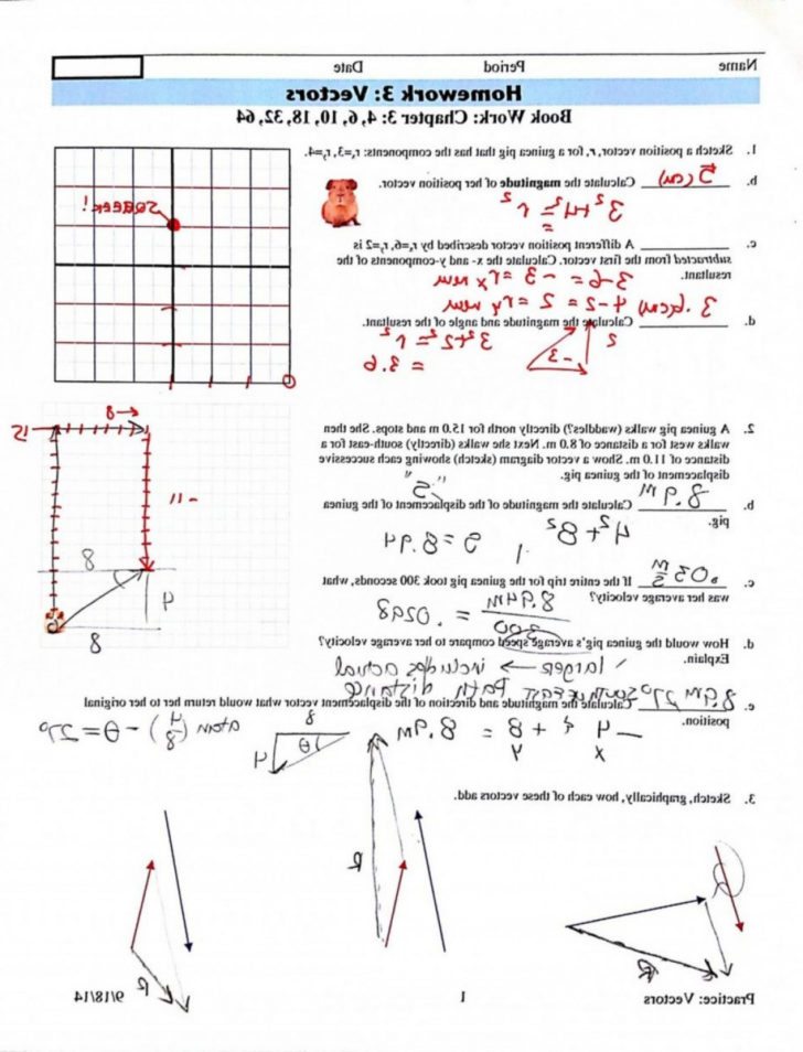 Vector Addition Worksheet