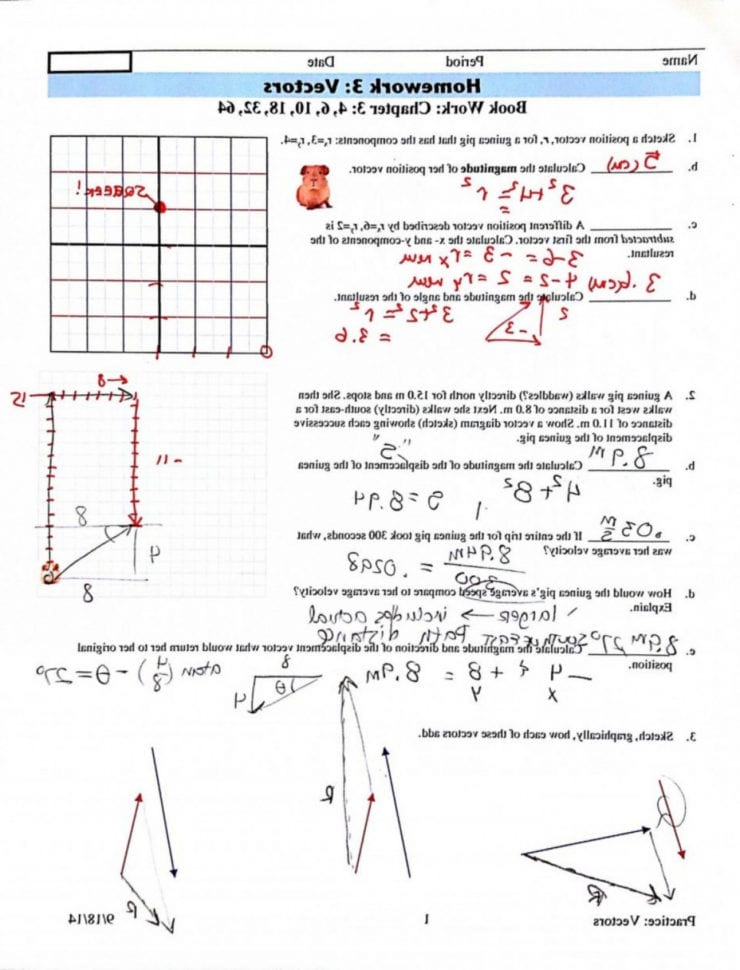 Best Top Vector Addition Worksheet With Answers Image Li