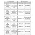 Bible Study Worksheets For Kids Book Of Ruth Worksheet Free