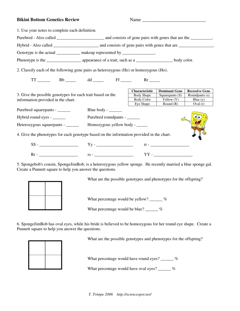 Bikini Bottom Genetics Worksheet Db excel