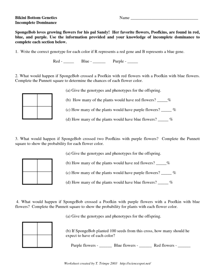 Bikini Bottom Genetics Worksheet  Netvs