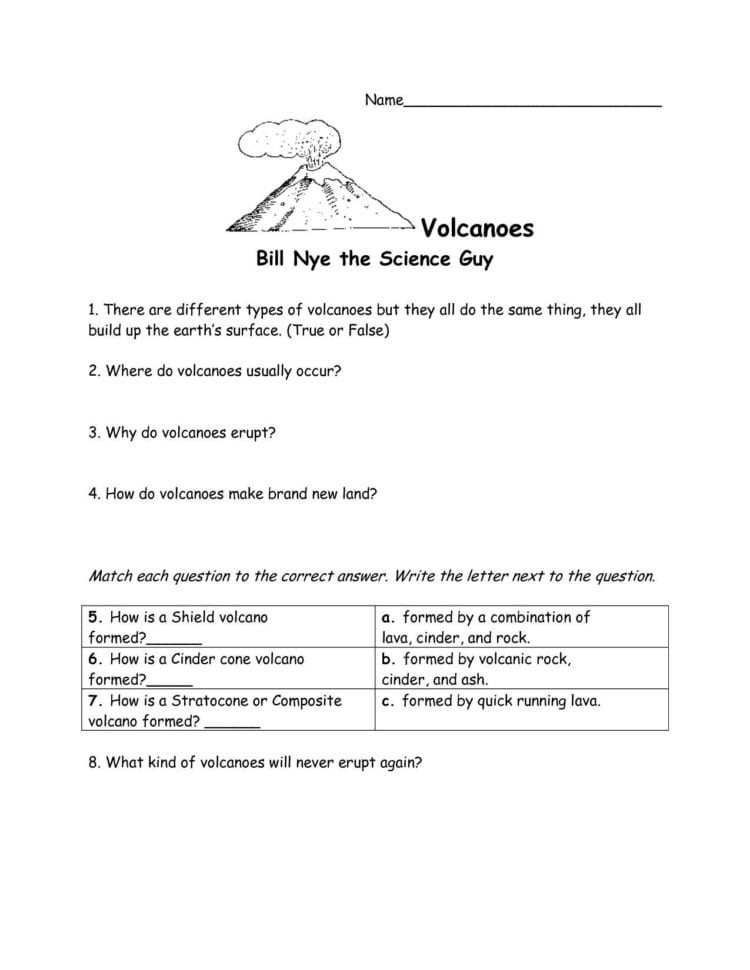 Bill Nye Brain Worksheet Answers