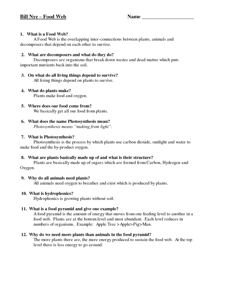 Bill Nye Food Web Worksheet  Free Worksheets Library