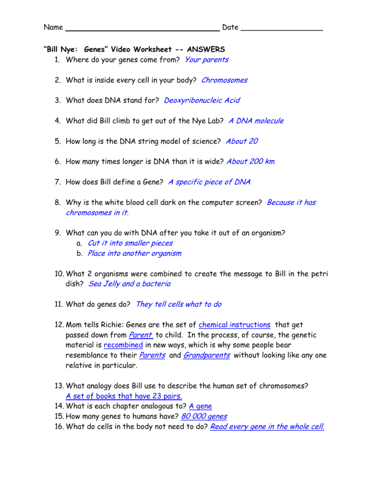 Bill Nye Genes” Video Worksheet