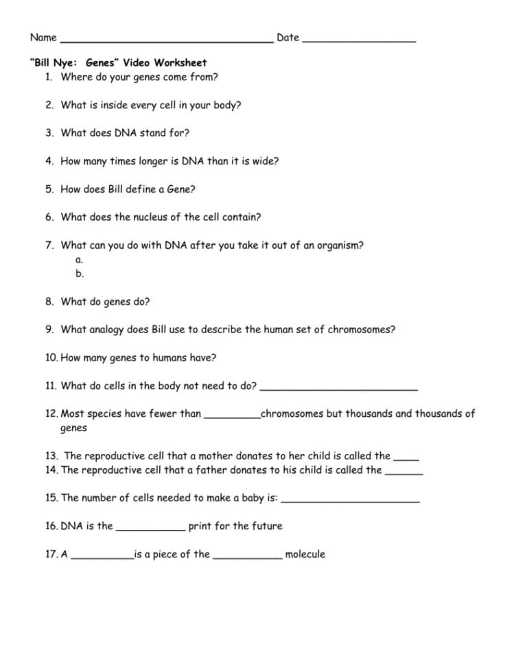 Bill Nye Genes Video Worksheet Answers  Soccerphysicsonline
