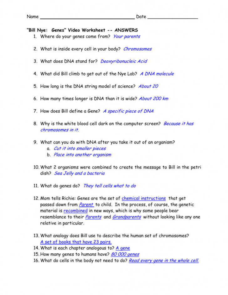 Bill Nye Simple Machines Worksheet