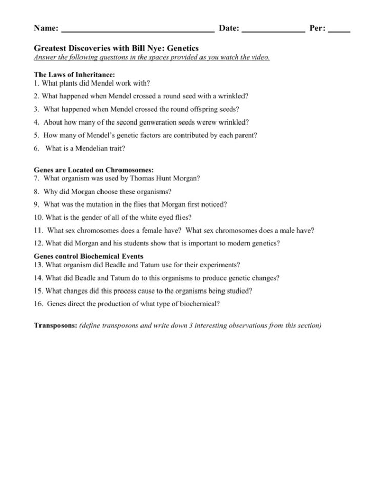 Bill Nye Genes Video Worksheet Answers  Soccerphysicsonline