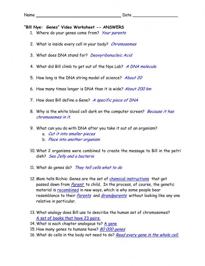 Bill Nye Chemical Reactions Worksheet Answers Db excel