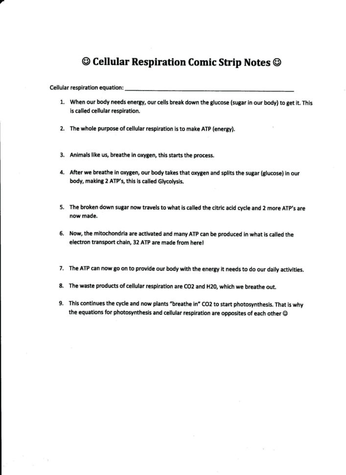 Bill Nye Plants Worksheet Answers —